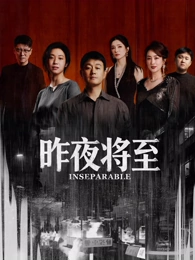 长街灯火 剧集封面